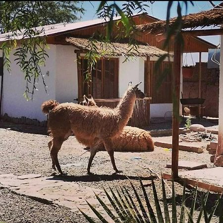 Cabanas Voyage Atacama San Pedro de Atacama Eksteriør bilde