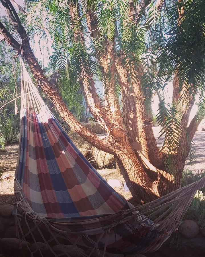 Cabanas Voyage Atacama San Pedro de Atacama Eksteriør bilde