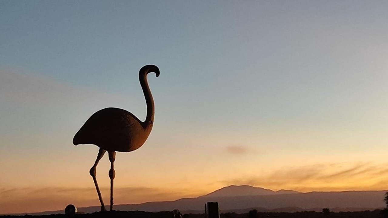 Cabanas Voyage Atacama San Pedro de Atacama Eksteriør bilde