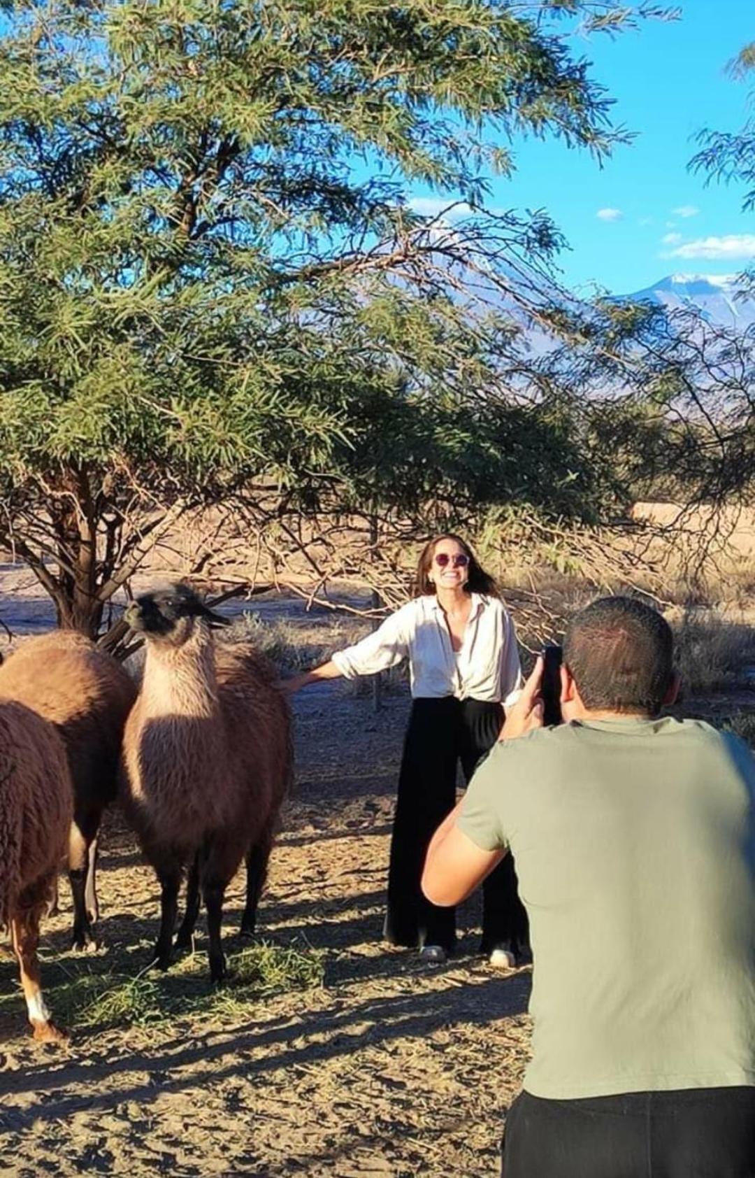 Cabanas Voyage Atacama San Pedro de Atacama Eksteriør bilde