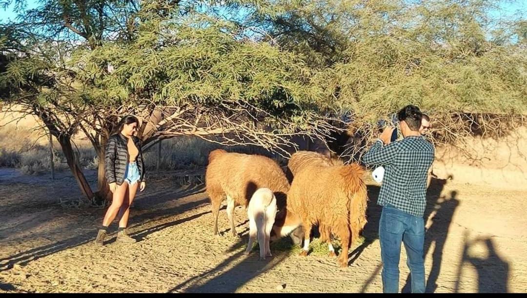Cabanas Voyage Atacama San Pedro de Atacama Eksteriør bilde