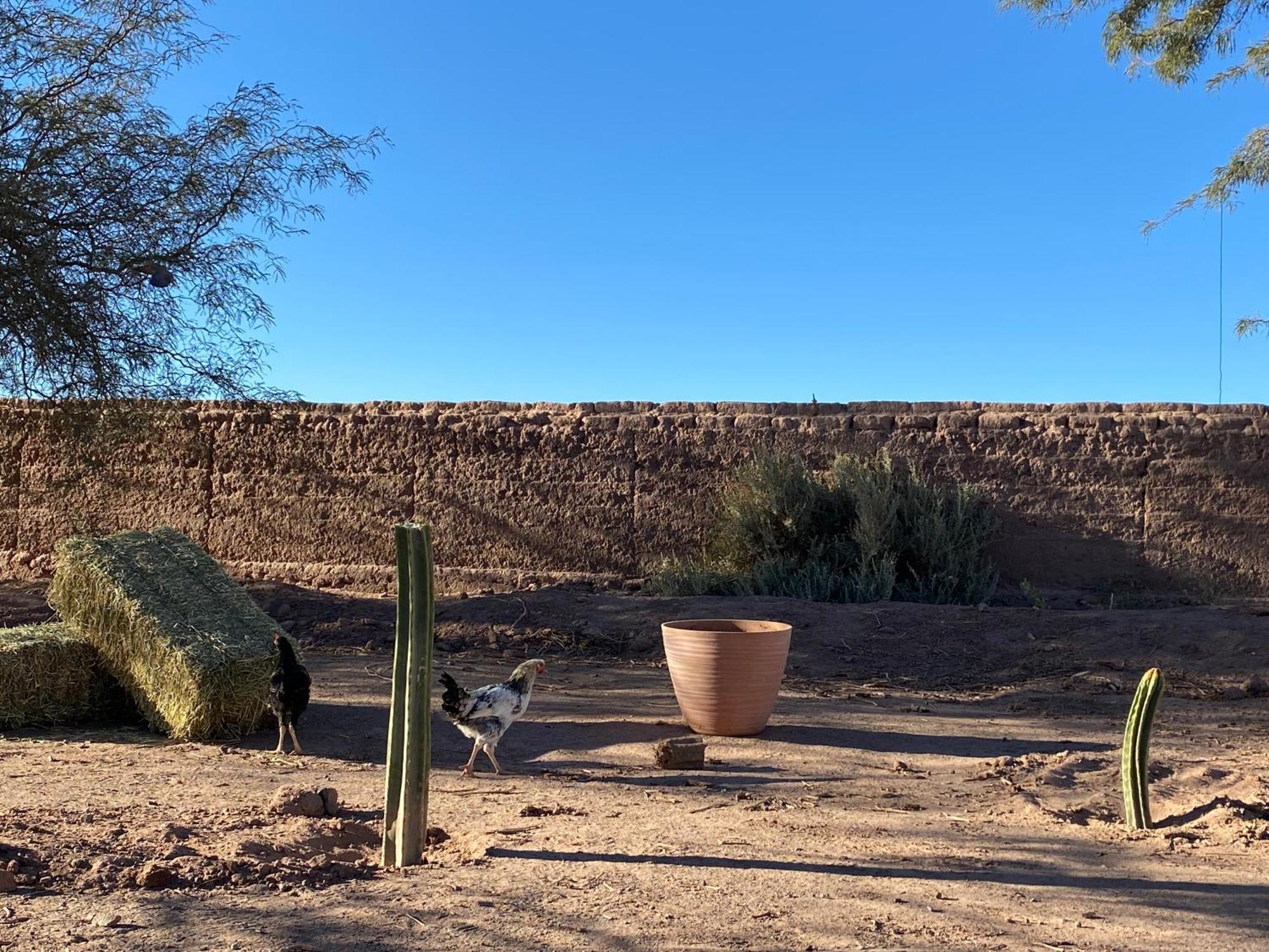 Cabanas Voyage Atacama San Pedro de Atacama Eksteriør bilde