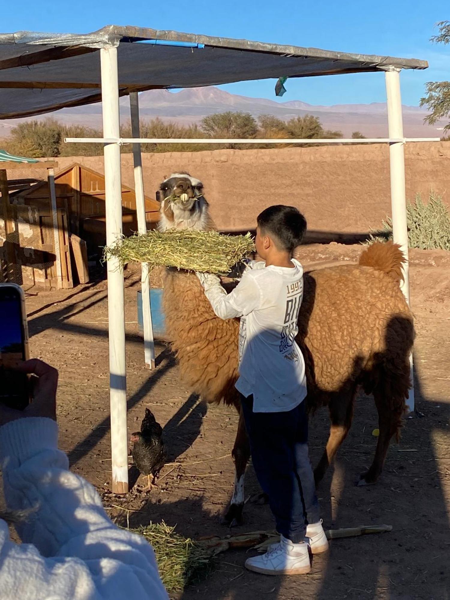 Cabanas Voyage Atacama San Pedro de Atacama Eksteriør bilde